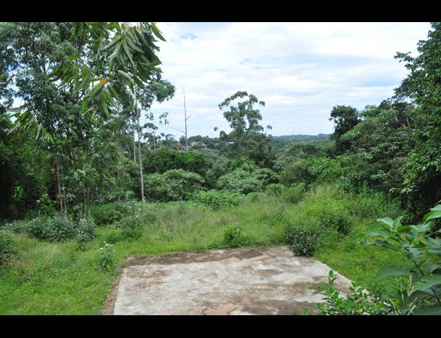 5,931M² VACANT LAND FOR SALE IN FOREST HILLS